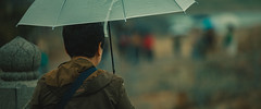 Busan In The Rain