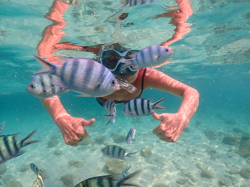 Snorkeling tour Underwater Odyssey Pattaya - trip pictures March-18-2024 (870)