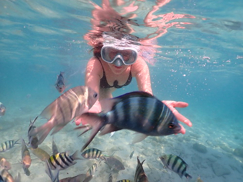 Snorkeling tour Underwater Odyssey Pattaya - trip pictures March-18-2024 (865)
