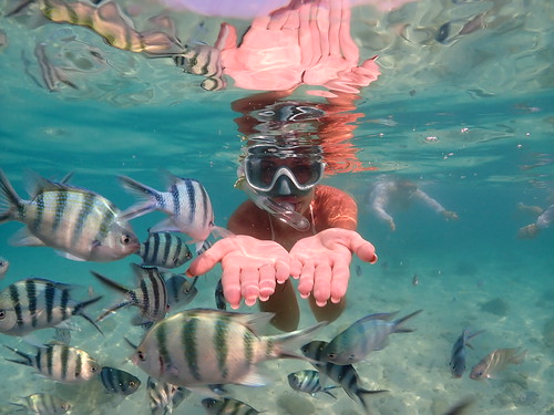 Snorkeling tour Underwater Odyssey Pattaya - trip pictures March-18-2024 (862)