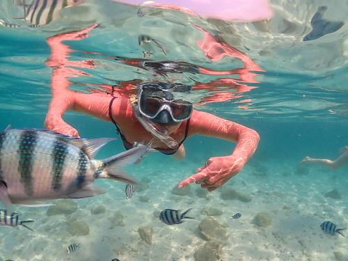Snorkeling tour Underwater Odyssey Pattaya - trip pictures March-18-2024 (860)