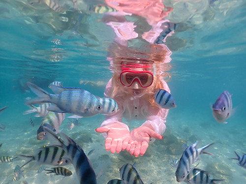 Snorkeling tour Underwater Odyssey Pattaya - trip pictures March-18-2024 (941)