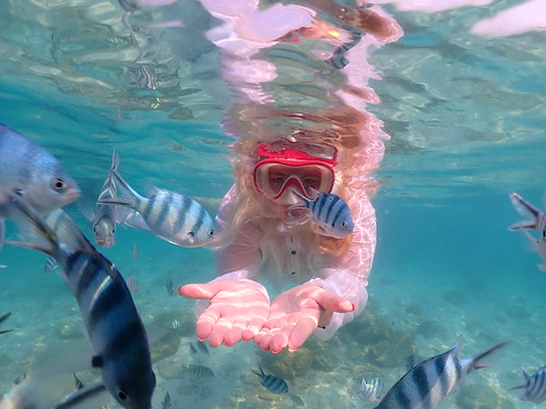 Snorkeling tour Underwater Odyssey Pattaya - trip pictures March-18-2024 (915)