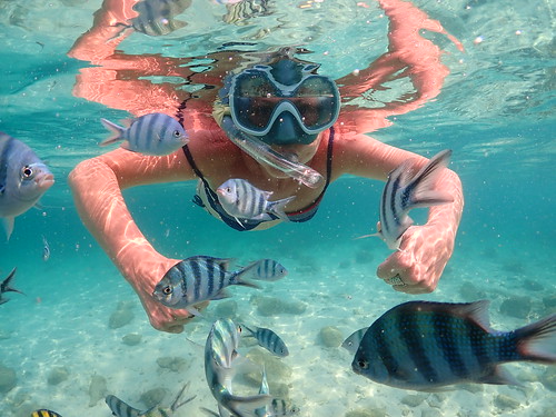 Snorkeling tour Underwater Odyssey Pattaya - trip pictures March-18-2024 (994)