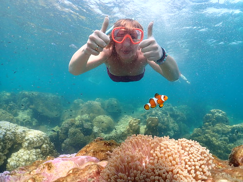 Snorkeling tour Underwater Odyssey Pattaya - trip pictures March-18-2024 (878)