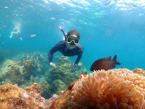 Snorkeling tour Underwater Odyssey Pattaya - trip pictures March-18-2024 (936)