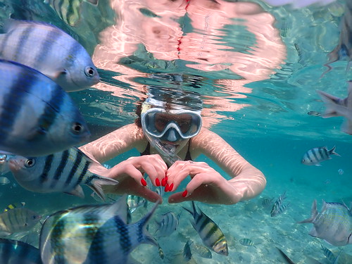 Snorkeling tour Underwater Odyssey Pattaya - trip pictures March-18-2024 (276)