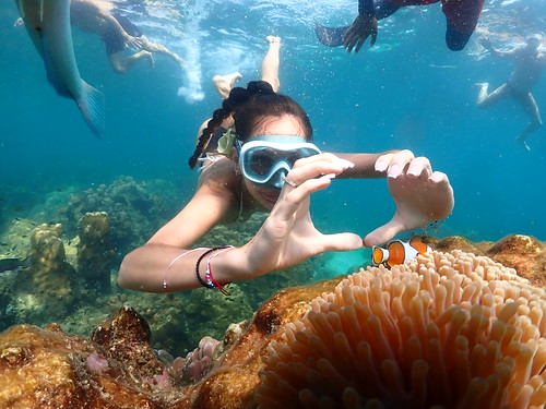 Snorkeling tour Underwater Odyssey Pattaya - trip pictures March-18-2024 (270)