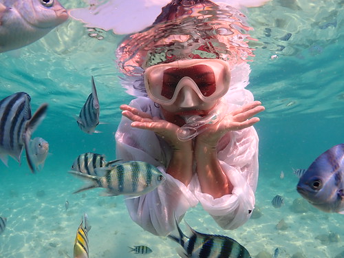 Snorkeling tour Underwater Odyssey Pattaya - trip pictures March-18-2024 (857)