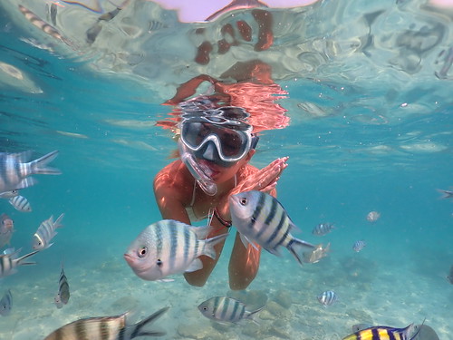 Snorkeling tour Underwater Odyssey Pattaya - trip pictures March-18-2024 (914)
