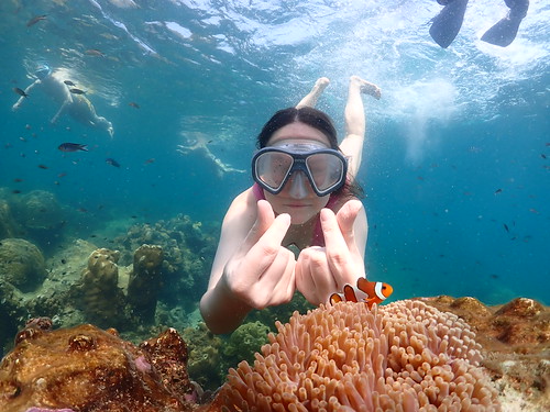 Snorkeling tour Underwater Odyssey Pattaya - trip pictures March-18-2024 (980)