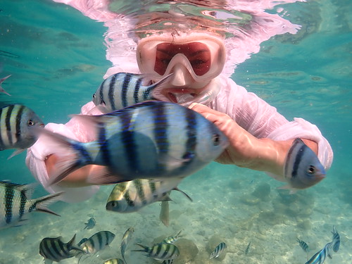 Snorkeling tour Underwater Odyssey Pattaya - trip pictures March-18-2024 (890)