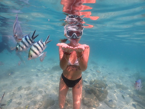 Snorkeling tour Underwater Odyssey Pattaya - trip pictures March-18-2024 (892)