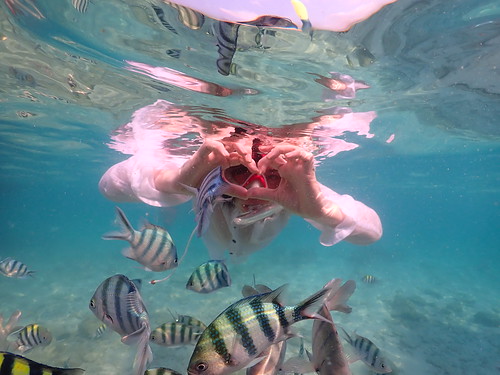Snorkeling tour Underwater Odyssey Pattaya - trip pictures March-18-2024 (863)