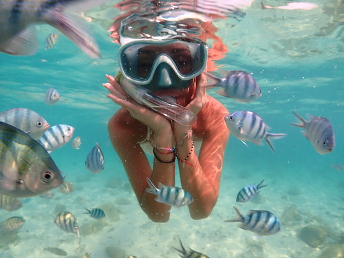 Snorkeling tour Underwater Odyssey Pattaya - trip pictures March-18-2024 (937)