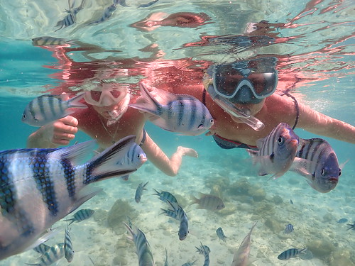 Snorkeling tour Underwater Odyssey Pattaya - trip pictures March-18-2024 (993)