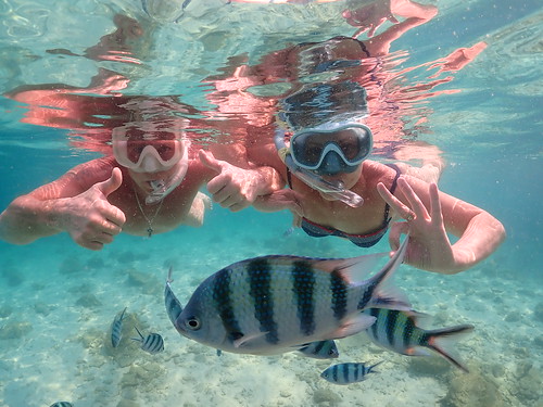 Snorkeling tour Underwater Odyssey Pattaya - trip pictures March-18-2024 (991)
