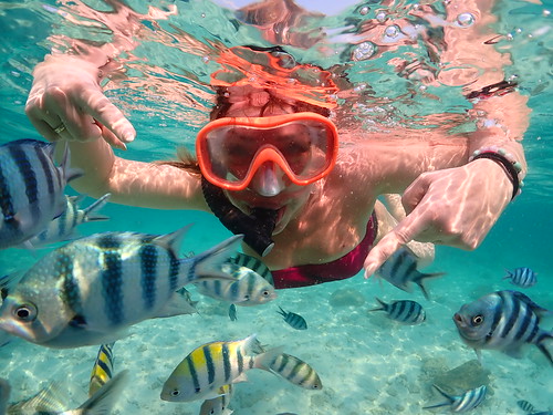 Snorkeling tour Underwater Odyssey Pattaya - trip pictures March-18-2024 (990)