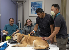 Rancho Los Amigos Animal Assisted Therapy Program