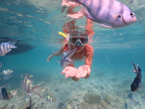 Snorkeling tour Underwater Odyssey Pattaya - trip pictures March-18-2024 (927)