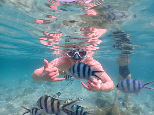 Snorkeling tour Underwater Odyssey Pattaya - trip pictures March-18-2024 (916)