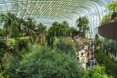 Flower Dome conservatory in the Gardens by the Bay in Singapore