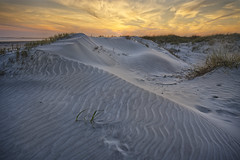 Dunes , Folly Beach