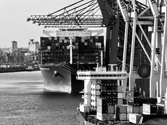 Einfahrt Hamburger Hafen Container Terminal Tollerort