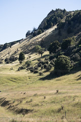Grassland Hills