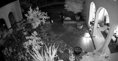 IR view of courtyard night