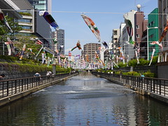 202404180 Tokyo Sumida and Kitajukken river