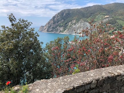 Today in 2019 in Monterosso al Mare