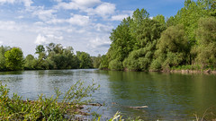 Am Rhein