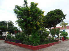 parque monseñor prospero penados del barrio isla ciudad de flores guatemala 1