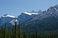 I Fancy Standing on the Earth’s Edge with Mountains and Trees (Banff National Park)