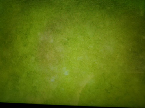 Togus Pond Alum Treatment 2024