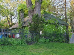 A picturesque Victorian cottage in Cabbagetown Toronto. Hansel and Gretel  beware!!