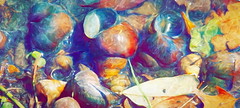 River Shells
