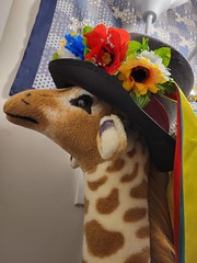 84: Giraffe in a Hat