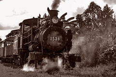 Australia Sugar Mill Steam Locomotive