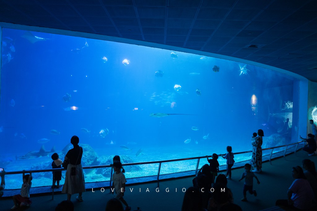 國立海洋生物博物館,墾丁旅遊,墾丁景點,屏東景點,屏東海生館,海生館 @薇樂莉 - 旅行.生活.攝影