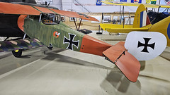 Siemens-Schuckert D.I 7/8th Scale Replica German WWI Fighter (N921SS)