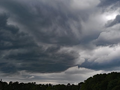 Angry Sky Above The Trees.