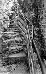 The Fence Along The Steps