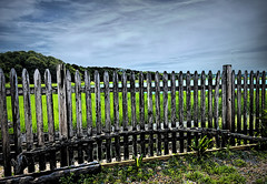 Wellfleet Fence