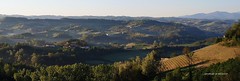 BRUME MATTUTINE vengono dissipate man mano che il Sole illumina le colline di questa zona delle Langhe. Immagine scattata nei dintorni di Novello, un paese UNESCO, Valle Tanaro, Piemonte, ITALIA. EXPLORE 27-07-2024.