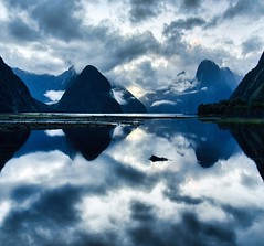 Photographers Assemble! A crazy find at Milford Sound. Let's Find the Owner