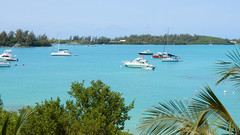 A Bermudaful View