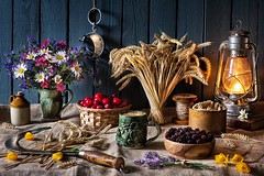 Harvest Bounty.