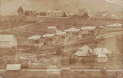 HOMES in BROWNELL STREET, GEEVESTON, TASMANIA - early 1900s